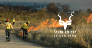 SANParks Vacancies 2025 – Apply Now
