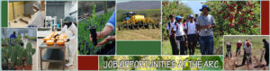 ARC Vacancies 2025 – Apply Now For Agricultural Research Council Latest Jobs